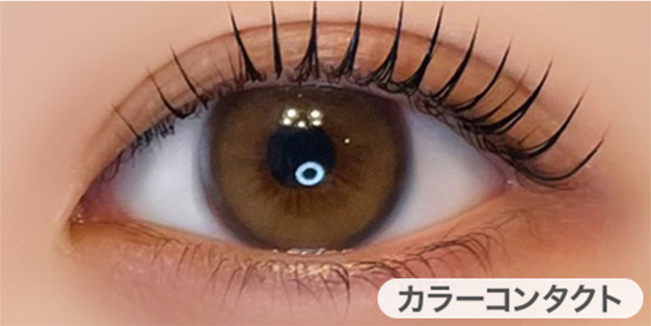 ティアフィーヌブラウン(Tierpfine Brown)の装用画像 | フェレーヌ ferenne 1day カラコン カラーコンタクト

