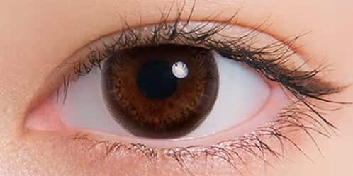 ネオサイトワンデーリングUV(NeoSight oneday Ring UV) ブラウン