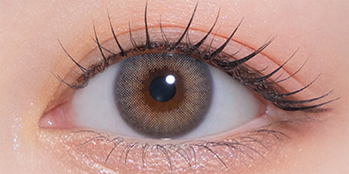 モラクワンマンス(MOLAK 1month) ミラーグレー