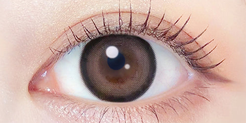 エバーカラーマンスリー(EverColor monthly) テディモカ