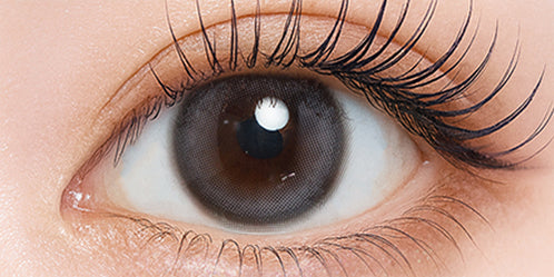 シャルトンワンデー(Charton 1DAY) アイスミュール