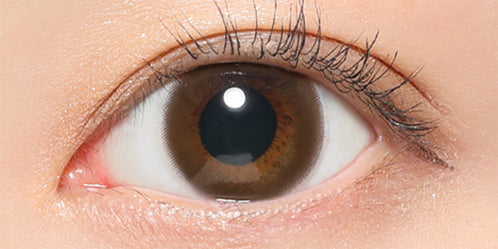 レヴィアマルチフォーカルワンデーサークル(ReVIA MULTIFOCAL 1day CIRCLE) 【遠近両用:ADD+2.50】ブラウン