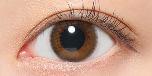 レヴィアマルチフォーカルワンデーカラー(ReVIA MULTIFOCAL 1day COLOR) 【遠近両用:ADD+1.25】メルティベア