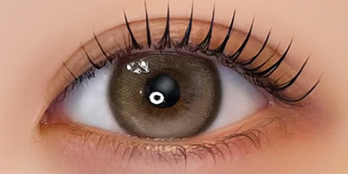 フェレーヌ(ferenne) マロネージュ