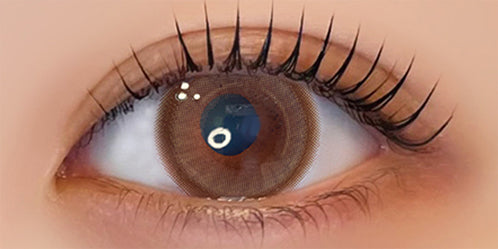 フェレーヌ(ferenne) ショコリス