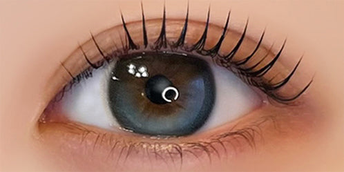 フェレーヌ(ferenne) ブルーノール