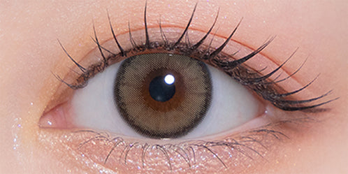 モラクワンマンス(MOLAK 1month) ダズルグレー