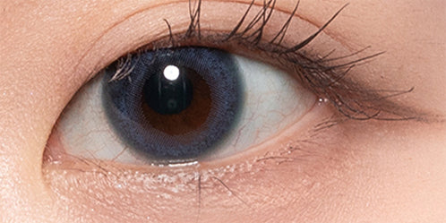 美少年画ワンデー(Bishonenga 1day) 藤