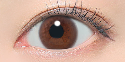 レヴィア ワンデー サークル(ReVIA 1DAY CIRCLE) ヌイブラウン