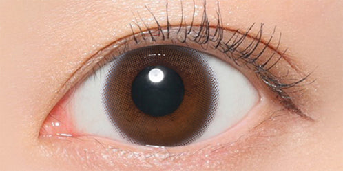 レヴィアマルチフォーカルワンデーサークル(ReVIA MULTIFOCAL 1day CIRCLE) 【遠近両用:ADD+2.50】ムースブラウン