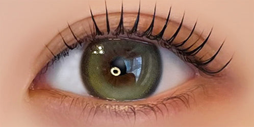 フェレーヌ(ferenne) オリヴィーヌ