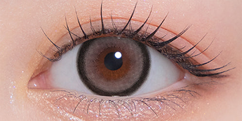 モラクワンデー(MOLAK 1day) グレーバニー