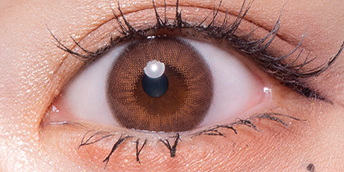 フルーリーバイカラーズ(Flurry by colors) モカダークブラウン(うるうるチワワ)