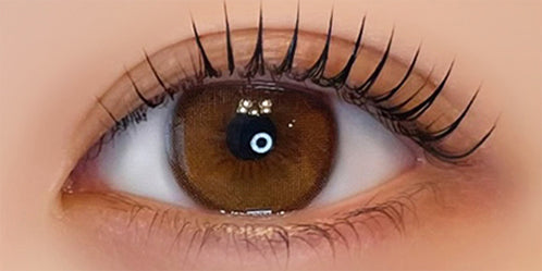 フェレーヌ(ferenne) エクリンブラウン