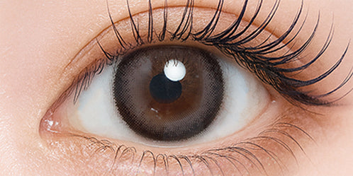 シャルトンワンデー(Charton 1DAY) コーヒーブラウニー