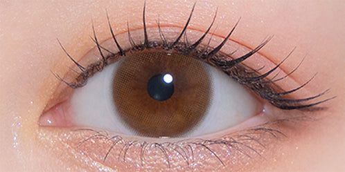 モラクワンマンス(MOLAK 1month) ティントブラウン