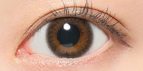 レヴィアマルチフォーカルワンデーカラー(ReVIA MULTIFOCAL 1day COLOR) 【遠近両用:ADD+1.75】シアーセーブル