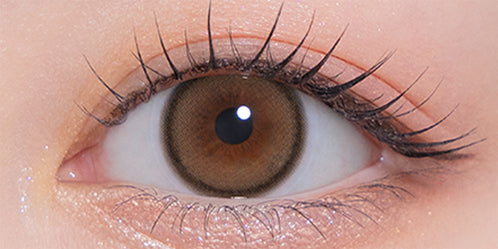 モラクワンデー(MOLAK 1day) チェリッシュブラウン