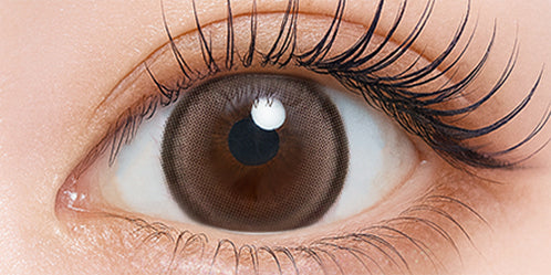 シャルトンワンデー(Charton 1DAY) ミルクチーズケーキ