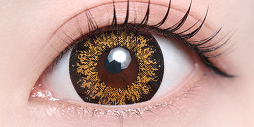 モモンスター(MoMonster) ハッピーブラウン