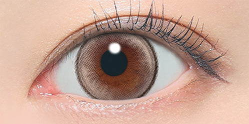 アザー(ØTHER) フェードライン