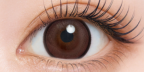 シャルトンワンマンス(Charton 1month) チョコムースパイ