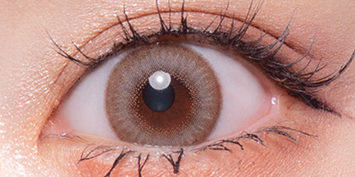 フルーリーバイカラーズ(Flurry by colors) パールライトブラウン(ぽんぽこたぬき)