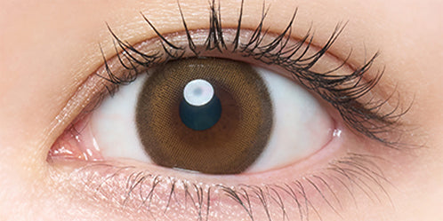 メロットトーリック(melotte TORIC) 【乱視用:乱視度数:-1.25D】シークレットベア