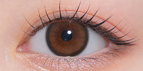 モラクワンマンス(MOLAK 1month) ブラウンバニー