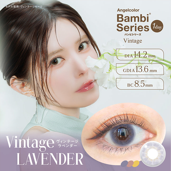 Vintage Lavender, ヴィンテージラベンダー, Angelcolor Bambi Series Vintage 1day バンビシリーズ, DIA14.2mm, GDIA13.6mm, BC8.5mm, モデル装用：ヴィンテージセージ  | エンジェルカラーバンビシリーズヴィンテージワンデー Angelcolor Bambi Series Vintage 1day カラコン カラーコンタクト
