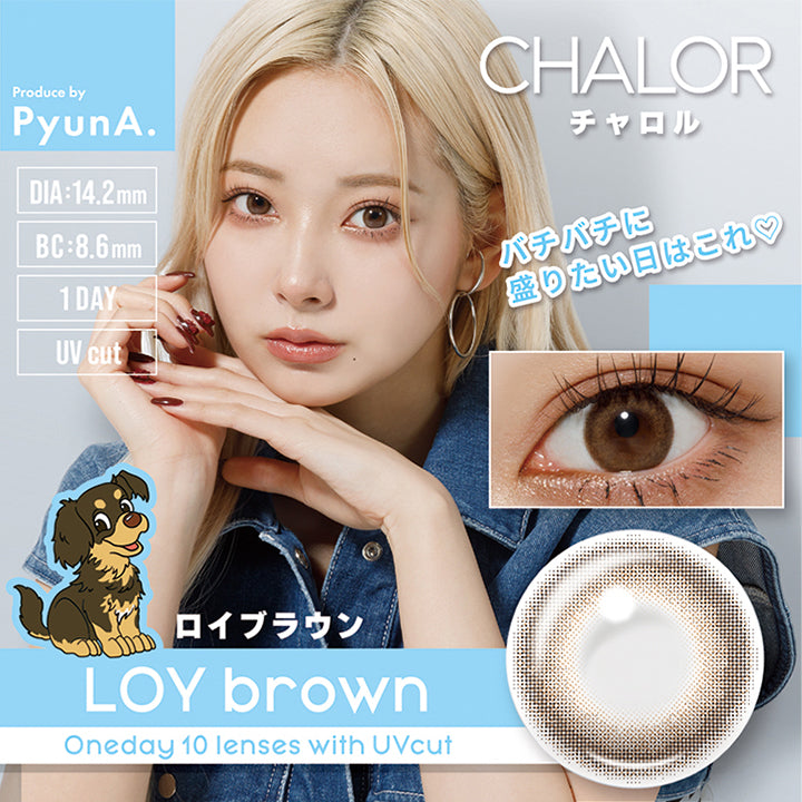 ロイブラウン(Loy brown),チャロル(Chalor),1day,1箱10枚入り,DIA14.2mm,着色直径13.5mm,BC8.6mm,含水率38.0%,バチバチにッ盛りたい日はこれ♡,oneday 10 lenses with UVcut. | チャロル Chalor 1day カラコン カラーコンタクト
