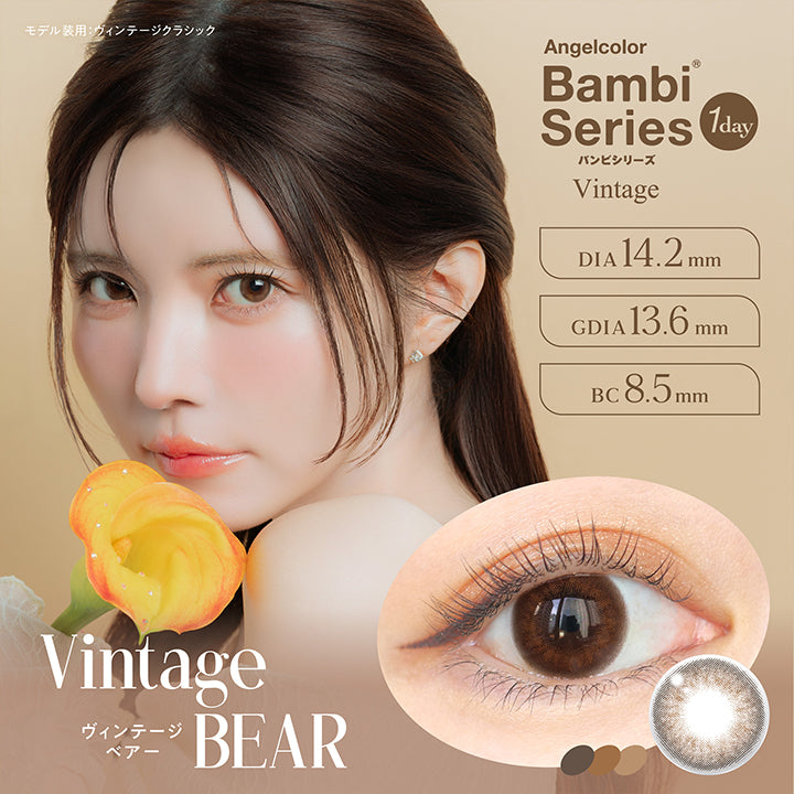 Vintage Bear, ヴィンテージベアー, Angelcolor Bambi Series Vintage 1day バンビシリーズ, DIA14.2mm, GDIA13.6mm, BC8.5mm, モデル装用：ヴィンテージクラシック  | エンジェルカラーバンビシリーズヴィンテージワンデー Angelcolor Bambi Series Vintage 1day カラコン カラーコンタクト
