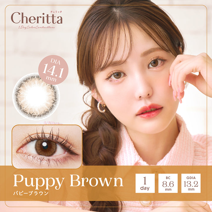 Cheritta(チェリッタ),Puppy Brown(パピーブラウン),DIA14.1mm,1day(ワンデー),BC8.6mm,GDIA13.2mm|チェリッタ Cheritta カラコン カラーコンタクト