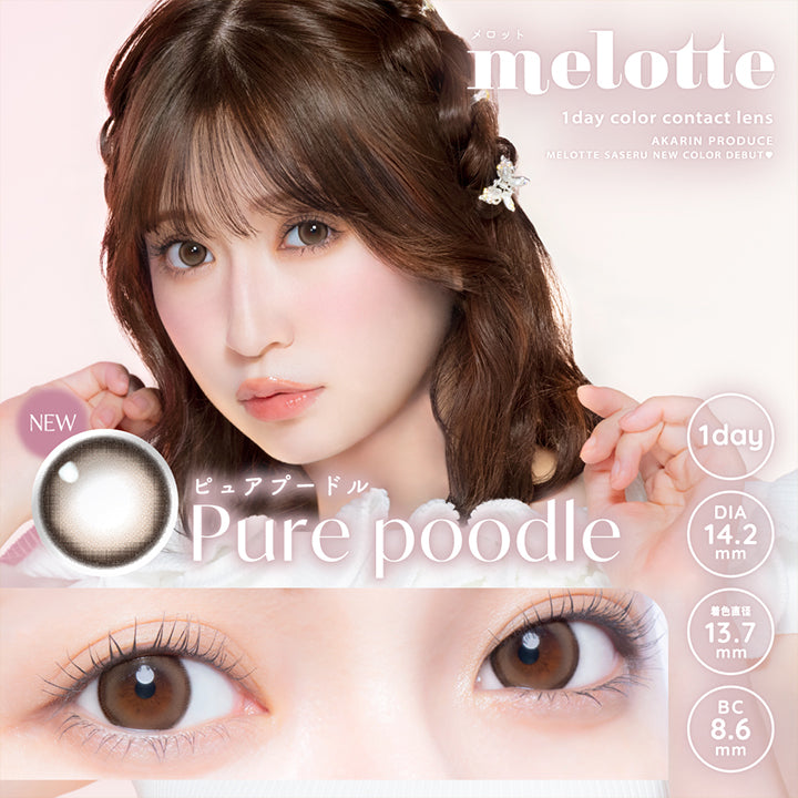 メロット,melotte,1day color contact lens,Akarin Produce,Melotte Saseru New Color Debut,NEW,ピュアプードル,Purepoodle,1day,Dia14.2mm,著色直径13.7mm,Bc8.6mm|メロット(melotte) 1day カラコン カラーコンタクト