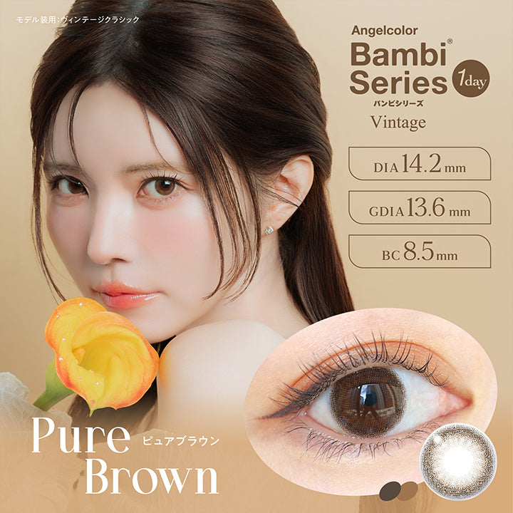 Pure Brown, ピュアブラウン, Angelcolor Bambi Series Vintage 1day バンビシリーズ, DIA14.2mm, GDIA13.6mm, BC8.5mm, モデル装用：ヴィンテージクラシック  | エンジェルカラーバンビシリーズヴィンテージワンデー Angelcolor Bambi Series Vintage 1day カラコン カラーコンタクト
