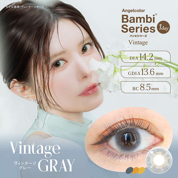 Vintage Gray, ヴィンテージグレー, Angelcolor Bambi Series Vintage 1day バンビシリーズ, DIA14.2mm, GDIA13.6mm, BC8.5mm, モデル装用：ヴィンテージセージ  | エンジェルカラーバンビシリーズヴィンテージワンデー Angelcolor Bambi Series Vintage 1day カラコン カラーコンタクト
