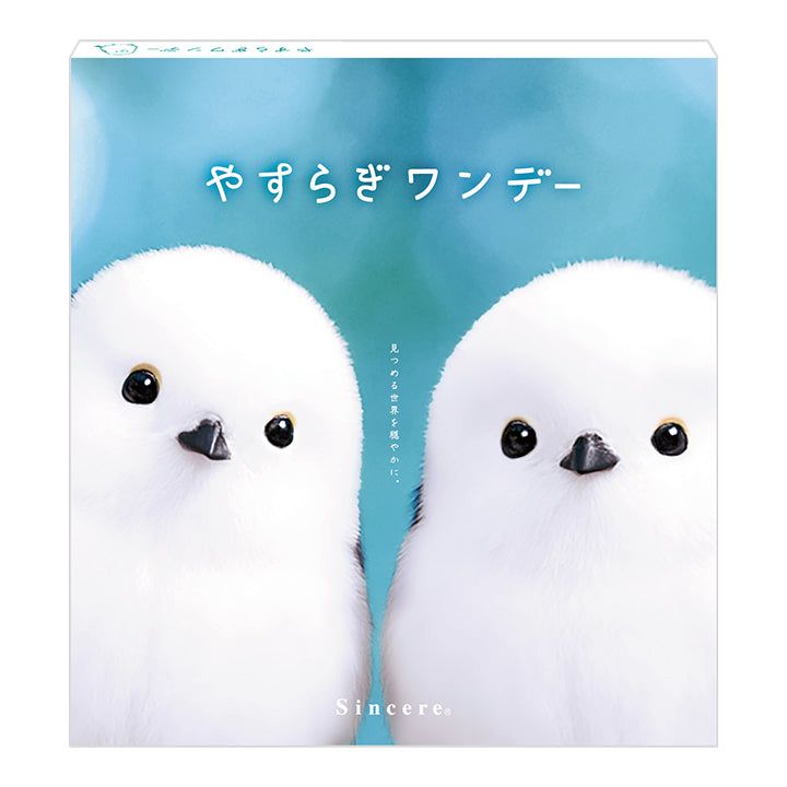 やすらぎワンデー(yasuragi 1day)