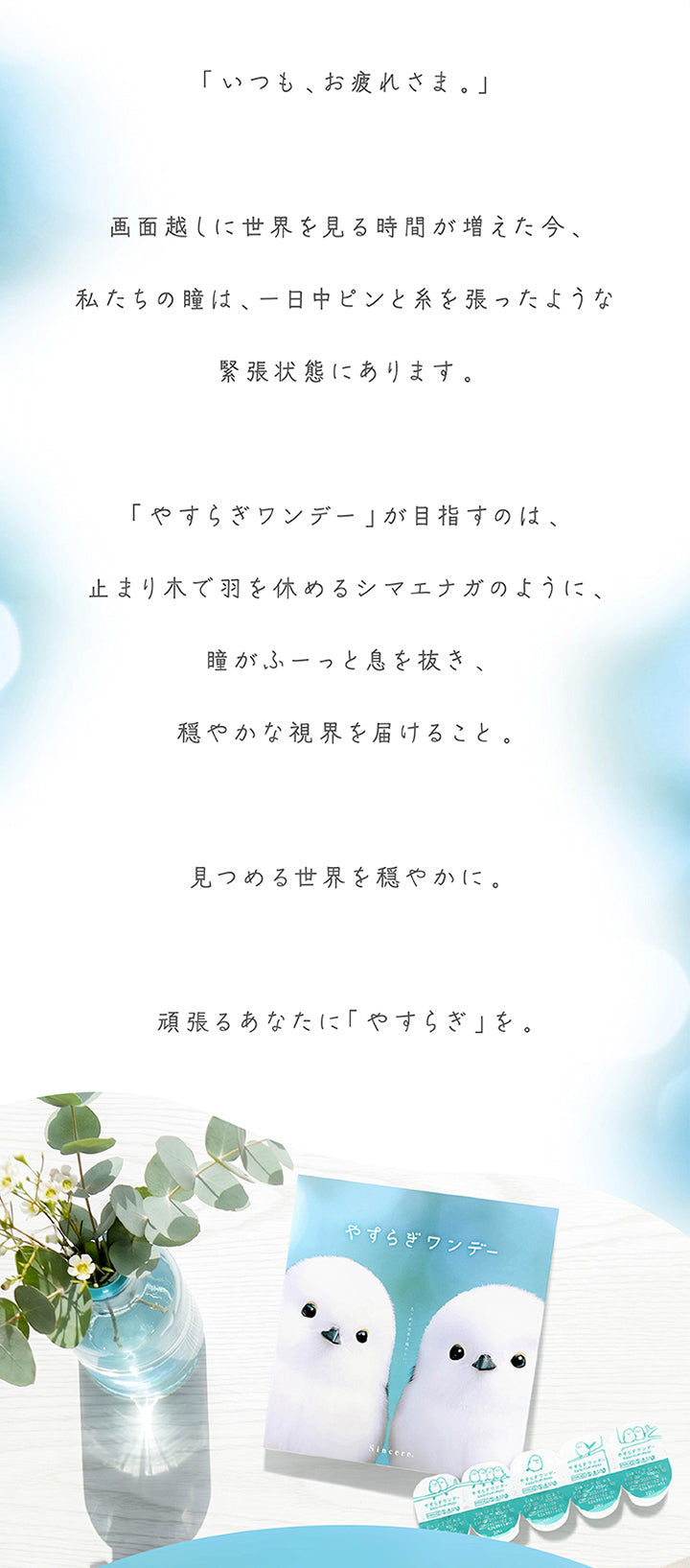 「いつも、お疲れ様。」,画面越しに世界を見る時間が増えた今、私たちの瞳は、一日中ピンと系を張ったような緊張状態にあります。「やすらぎワンデー」が目指すのは、止まり木で羽を休めるシマエナガのように、瞳がふーっと息を抜き、穏やかな視界を届けること。見つめる世界を穏やかに。頑張るあなたに「やすらぎ」を。 | やすらぎワンデー yasuragi 1day クリアコンタクト クリアレンズ
