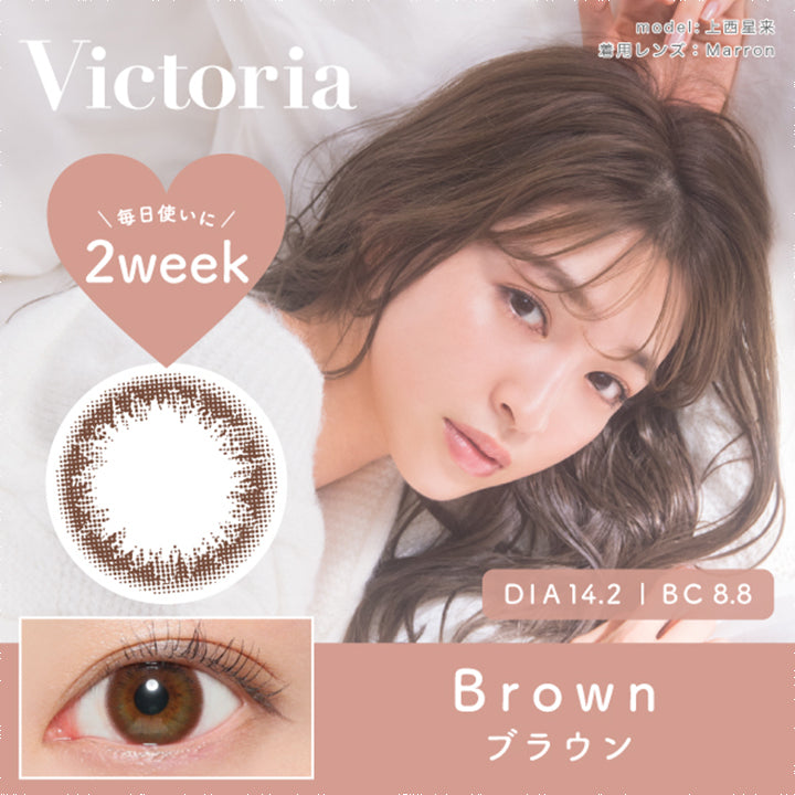 ヴィクトリア2ウィーク(Victoria 2week),ブランドロゴ,Brown(ブラウン),毎日使いに,DIA14.2mm,BC8.8|ヴィクトリア2ウィーク(Victoria 2week)コンタクトレンズ