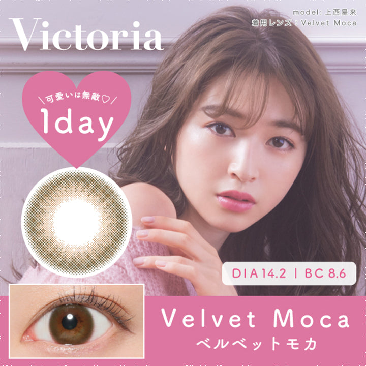 ヴィクトリアワンデー(Victoria 1day),ブランドロゴ,Velvet Moca(ベルベットモカ), 可愛いは無敵,DIA14.2mm,BC8.6|ヴィクトリアワンデー(Victoria 1day)コンタクトレンズ