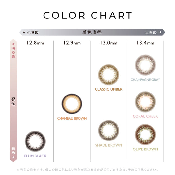 アンヴィ(envie) 10枚 シャンパングレイ