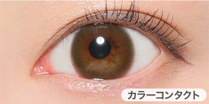 ベルベットモカの装用写真,DIA14.2mm|ヴィクトリアワンデー(Victoria 1day)コンタクトレンズ