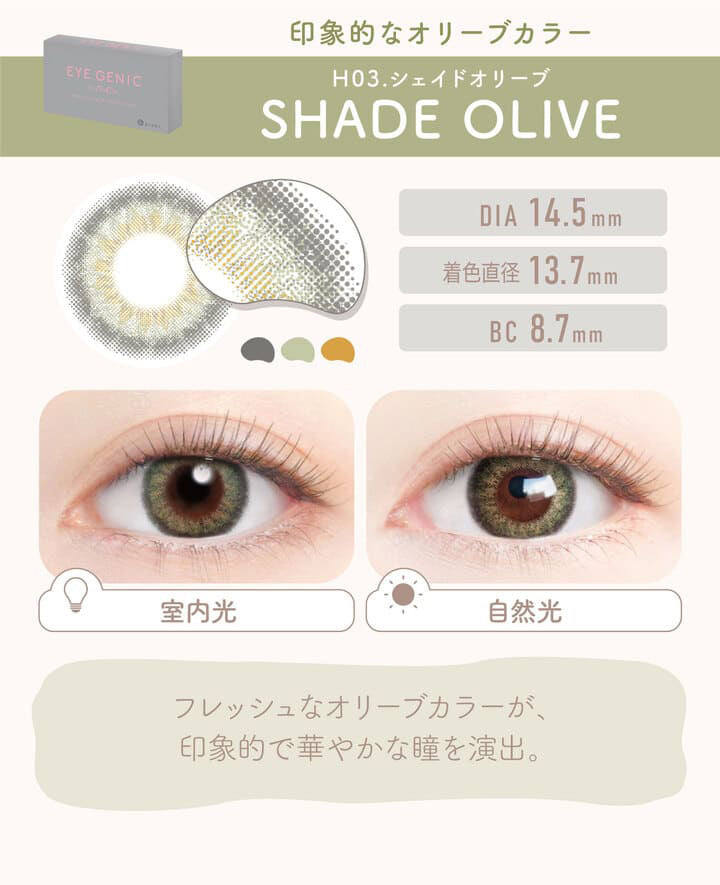 アイジェニックバイエバーカラー(EYEGENIC by EverColor) 度なし シェイドオリーブ